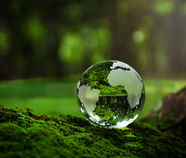 The Fundamentals of ESG - An Essential Guide